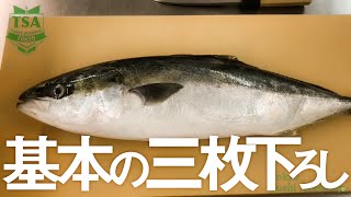 魚のさばき方（基本の三枚下ろし）│How to fillet a fish│東京すしアカデミー