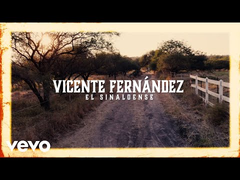 Vicente Fernández - El Sinaloense (Visualizer)