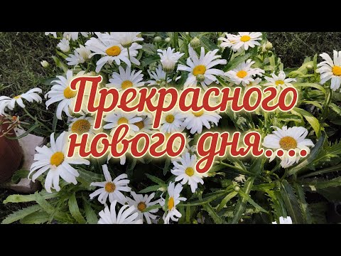 С Добрым Счастливым Утром❤️Встречай день с улыбкой ❤️Красивая музыка/Пожелания/Авторское видео/