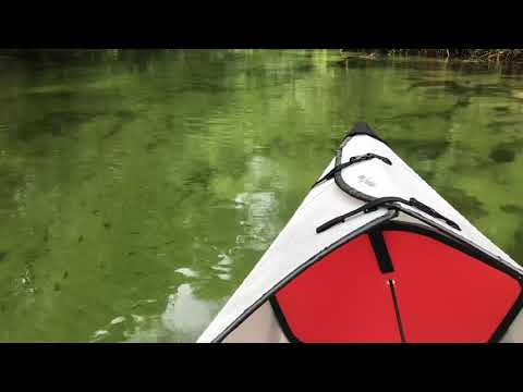 Manatee swims under Oru Kayak