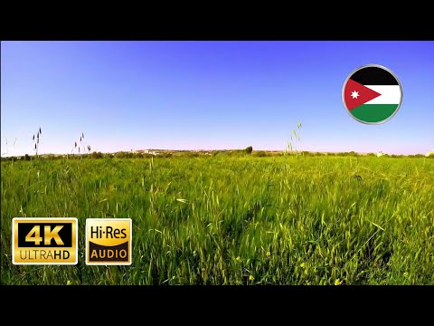 Scenic Relaxation from Jordan: One Hour of Summer Breeze Sounds [ASMR Nature Sounds]