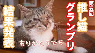 第5回推し猫グランプリ結果発表