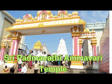 Padmavati Temple Tirupati | Tirupati Vlog | Travel Vlog | Hindi Vlog | India Vlog