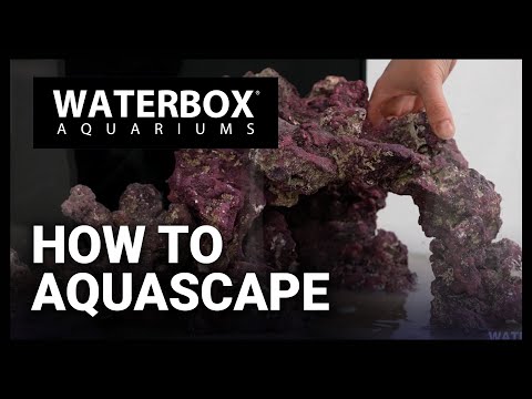 How To Aquascape A Saltwater Aquarium