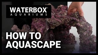 How To Aquascape A Saltwater Aquarium