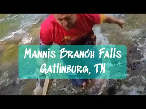 (WATCH BEFORE GOING) - Waterfall hike near Gatlinburg, TN - Mannis Branch Falls