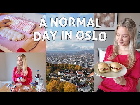 Working from Home in Norway: Cozy Daily Life, Grocery Haul, and Tasty Cooking