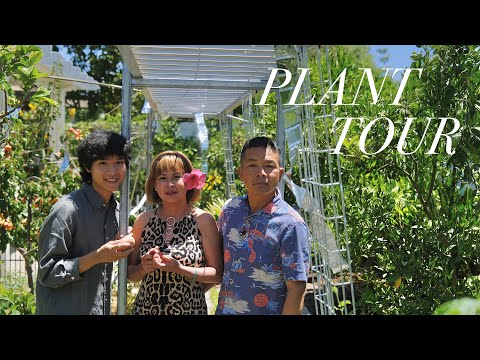 Relaxing Day in my Parents’ Garden | houseplants & fruit