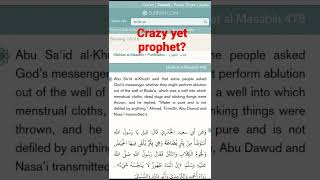 The Arabian Prophet - Muhammad Crazy Yet a Prophet?