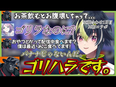 顔合わせ1日目＆初コラボでバーチャルゴリラに遠慮なく言う夕陽リリと伊波ライ【伊波ライ/夕陽リリ/バーチャルゴリラ/v最協s6】