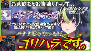 顔合わせ1日目＆初コラボでバーチャルゴリラに遠慮なく言う夕陽リリと伊波ライ【伊波ライ/夕陽リリ/バーチャルゴリラ/v最協s6】