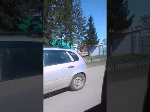 Праздник #видео #shortsvideo #шортс #9мая #улица