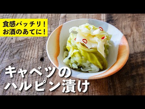 pickled cabbage