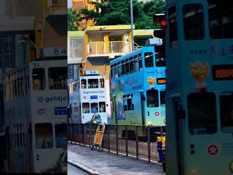 香港百年叮叮車，今天的交通風景線/Hong Kong's century-old Ding Ding car, today's traffic scenery #香港旅行記 #DingDingcar