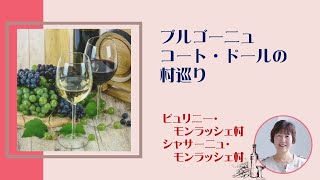 「ブルゴーニュ　コート・ドールの村巡り」ピュリニー・モンラッシェ村とシャサーニュ・モンラッシェ村の紹介です