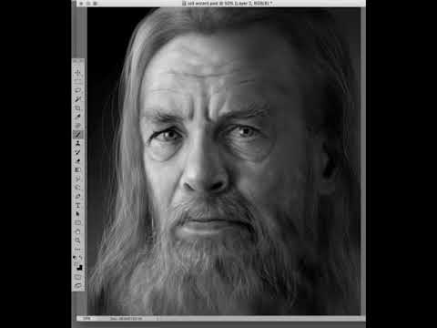 Realism Study-- digital art. WIP