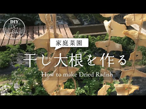 干し大根の作り方 How to make dried radish - English subtitle #家庭菜園