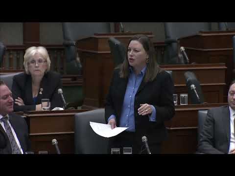 MPP Fife brings student voices to the debate on Ford's education cuts