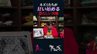 【岡田斗司夫】恐ろしすぎるマウス実験「UNIVERSE 25」【岡田斗司夫切り抜き/切り取り/としおを追う】#shorts