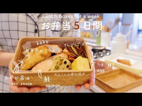 Daily life of Japanese housewife making lunch vlog 🌱 A week of my husband lunch boxes