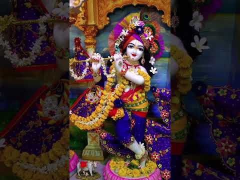 Krishn🙏🏻❤🥰 #song #music #love #viral #krishnamurli #radharani #radhakrishna #radhabhakti #krishna