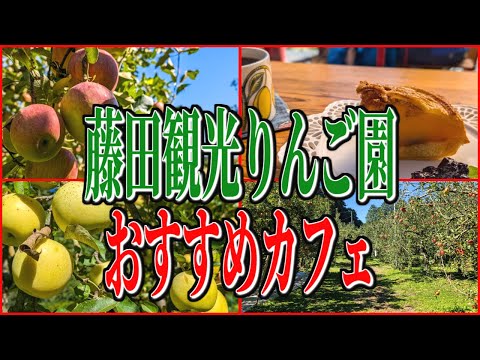 秋の味覚、奥久慈りんご！茨城県大子町、リンゴ園内のおすすめカフェ！【茨城グルメ旅】