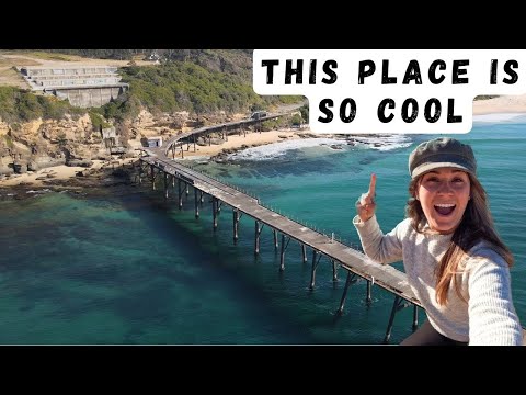 LOOK WHAT WE’VE FOUND | Newcastle NSW