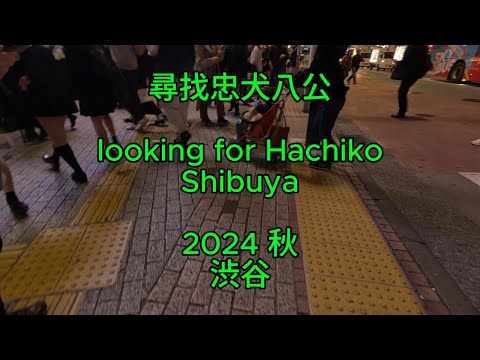 2024 秋 #日本東京渋谷#忠犬八公# Tokyo shibuya Hachiko