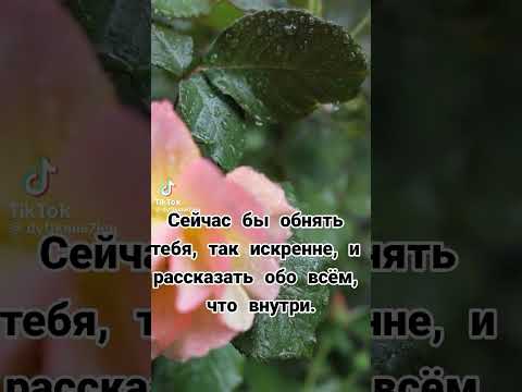 Есть взаимная любовь