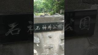 『東京都練馬区石神井公園』仕事終えた後に寄って散歩してきた✨