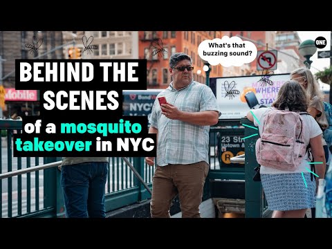 Creating a buzz in NYC | Behind-the-scenes of a ONE stunt