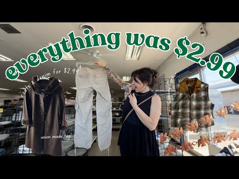 LET’S GO THRIFTING • EVERYTHING WAS $2.99 #thriftwithme #thriftedfashion