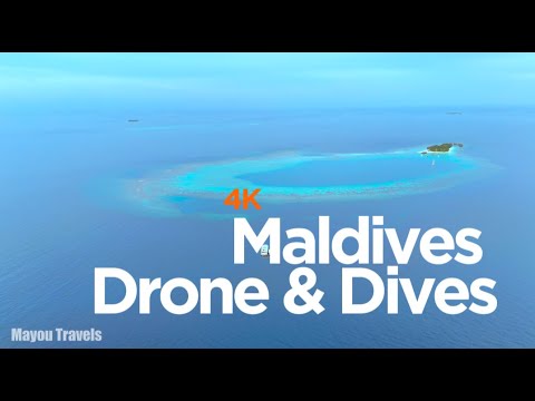 Maldives Drone & Dives | Background Relaxing Music 1 Hour