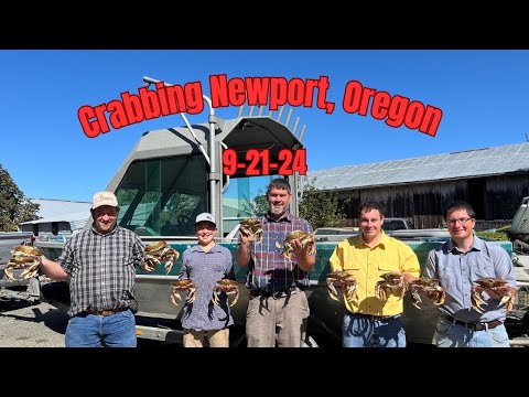 Jumbo Dungeness Crabs In Newport, Oregon  #crabbing #oregon #bay