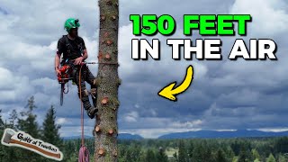 Removing A Tree 150 FEET In The AIR - GIANT 50” Fir Takedown!