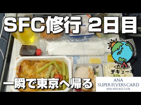 【SFC修行】全8日間でプラチナ会員へ！2日目『空港11時間滞在からのマレーシア』