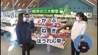 ウィークリー千葉県 「柏市のおすすめスポット」R4/1/22