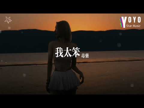 我太笨 - 毒药 | 原唱 - 锤娜丽莎 | 好歌好曲每一天 | 动态歌词/Lyrics