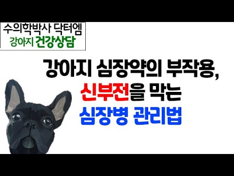 강아지 심장병약 부작용 심부전을 막는 심장병 관리 방법 -수의학박사 닥터엠의 강아지 119