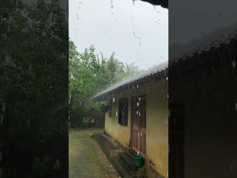 Heavy rain ☔️☔️🌧️🌈.  #rain #rainyday #beauty #beautiful #nature #heavyrain