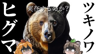 【ヒグマ×ツキノワグマ】秋田の山に最凶のクマが誕生している可能性…？｜警察2名が襲われた本当の裏側とは