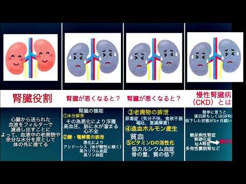 沈黙の殺○者（慢性腎臓病）