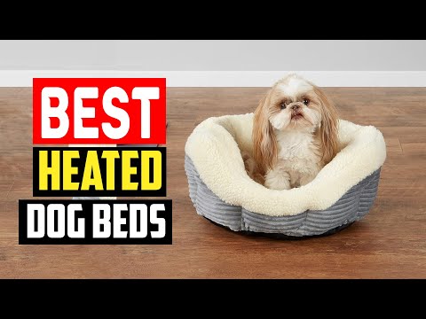 ✅ Top 5 Best Heated Dog Beds for Warm Winter Snuggles of 2024