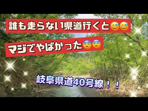 【また危険っ！】誰も通らない道で滋賀県に行きたいっ！・・・と思って行ったら、マジで危険すぎてヤバかった！　もう行きませんっ！！