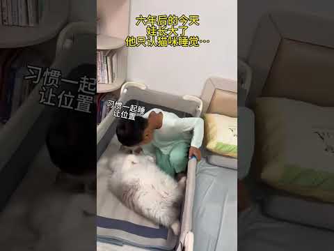 猫：我这辈子欠这个孩子的… #猫和孩子