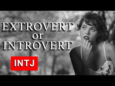 Are you an Extrovert or an Introvert (Original version)