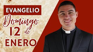 Evangelio de hoy Domingo 12 de Enero de 2025 | Lecturas y Reflexión