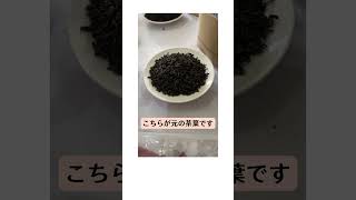 ルンビニ茶園でオーガニックの茶葉のテイスティングをしました【スリランカ出張】#カレルチャペック #紅茶