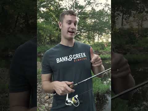 The Topwater You Must See! (Bank & Creek Kit)