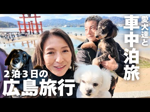 【40代夫婦の休日】香川のうどん｜ワンコ達と宮島へ｜広島の美味しいものを堪能｜便利な車中泊スポット